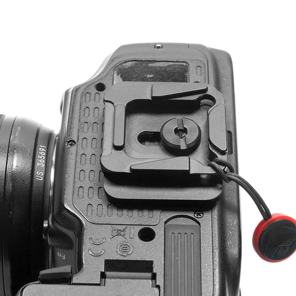 Dual Plate - Image 3